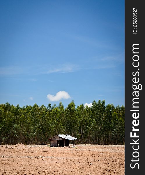 Alone hut on ground forest and the sky..