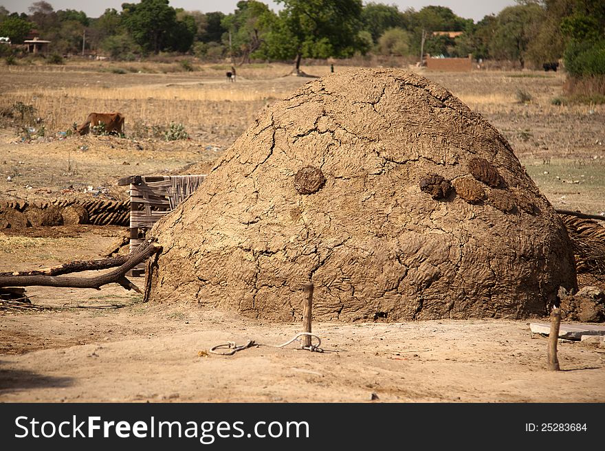 Collection of cow and buffalo dung cake. Collection of cow and buffalo dung cake