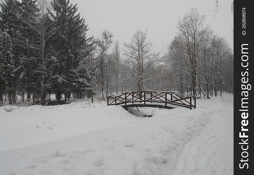 The silence of a winter, snowy day in the park