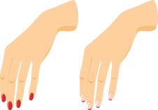 Female Hands With Manicure Stock Image