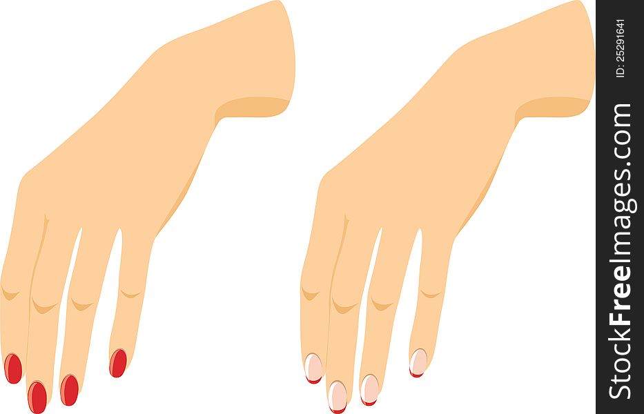 Female Hands With Manicure