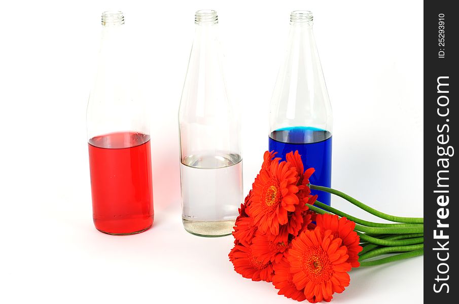 Dutch flag with coloured bottles and orange germini's