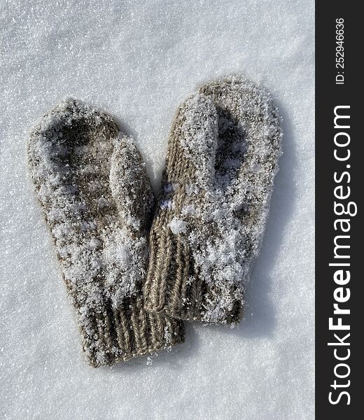 Warm knitted mittens lie in the snow. Winter concept.