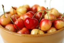Bowl Of Cherries Stock Photos Bowl Of Cherries Stock Photos