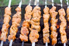 Shashlik Stock Image Shashlik Stock Image
