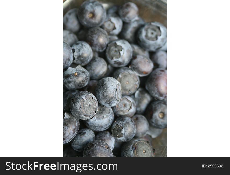 Pile of freshly picked blueberries