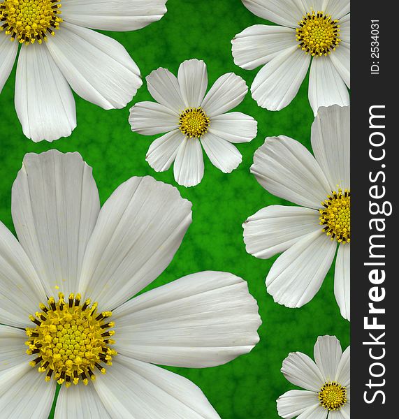 Composition  from white flowers on a green background