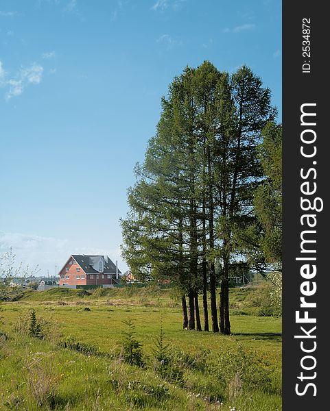 Spring landscape with the private house and pines on a background of the sky. Spring landscape with the private house and pines on a background of the sky.