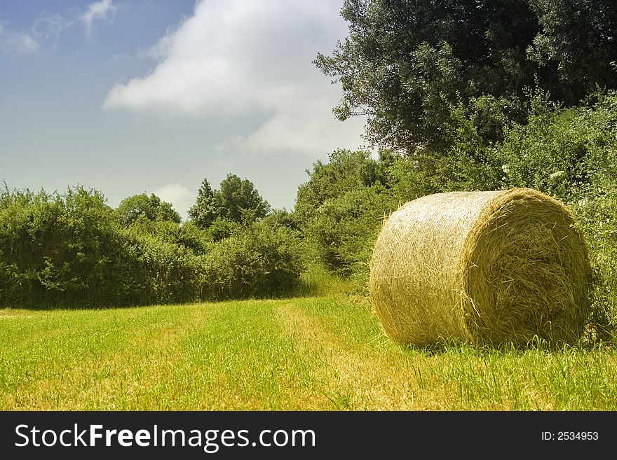 Seasonal sicilian landscape. Visible the ball hay.