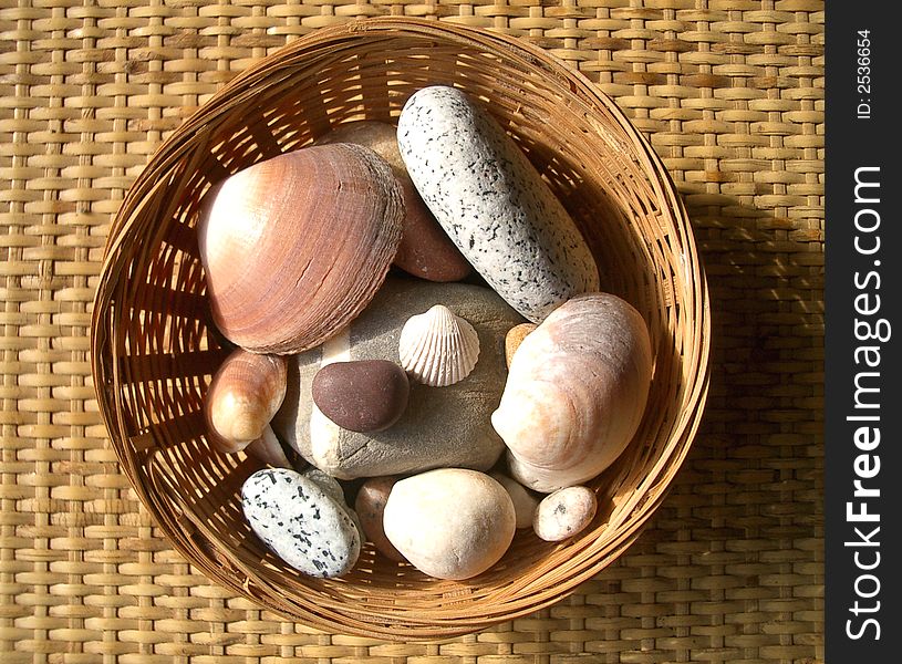 Some pebbles and shells picked up on the beach