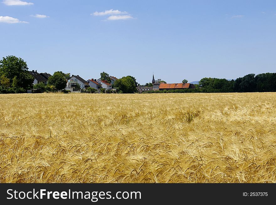 German town  behind doe of wheat in sunny day