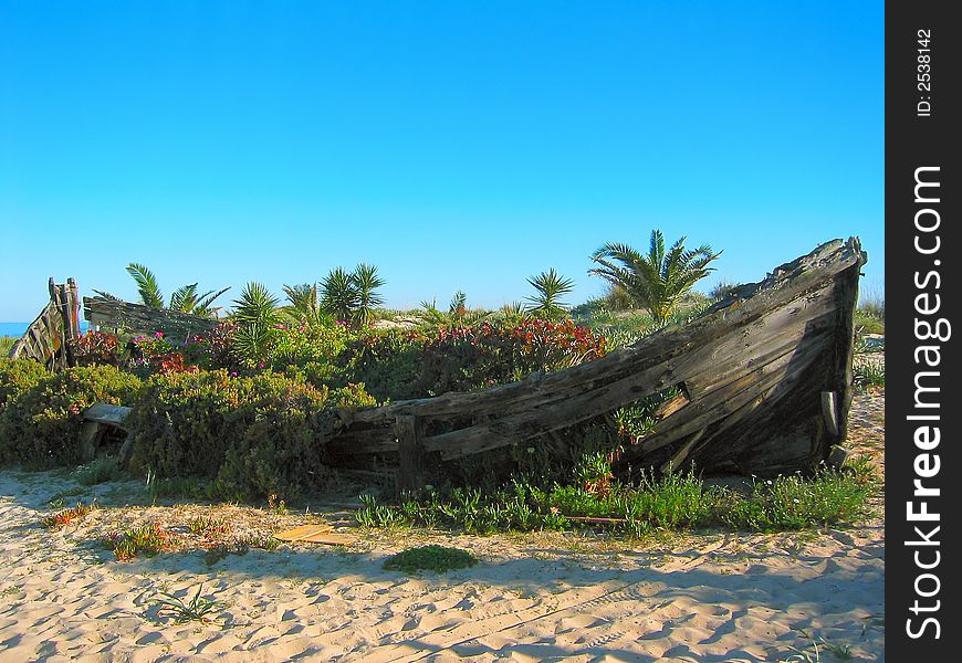 An old tuna fishing boat is given a chance for a second life as a gigantic vase. An old tuna fishing boat is given a chance for a second life as a gigantic vase.