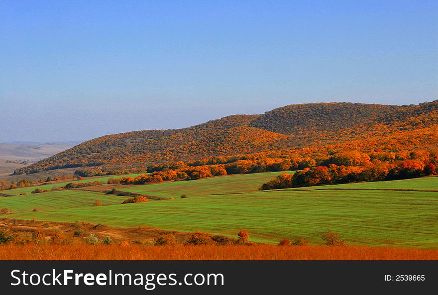 A big colored field at the country