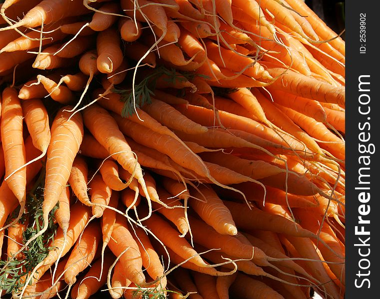 Taken on Market day in Bruges, Belgium, this is a close up of a bunch of carrots. Taken on Market day in Bruges, Belgium, this is a close up of a bunch of carrots