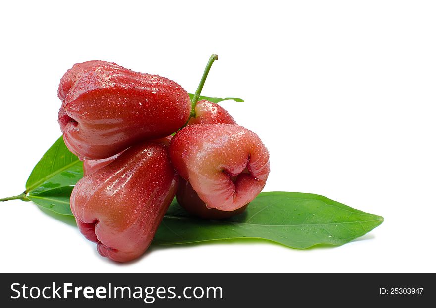 Rose apples isolate on white background