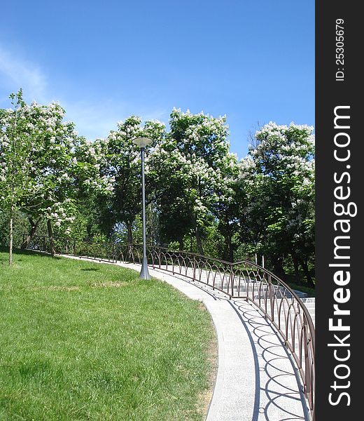 Park view at the beginning of the summer, with stairs ascending towards blooming trees. Park view at the beginning of the summer, with stairs ascending towards blooming trees