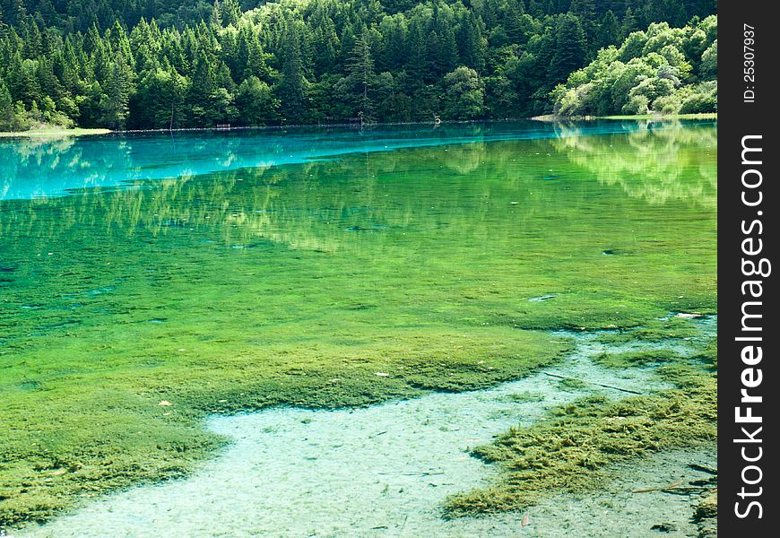 Green Lake at Jiuzhaigou, China