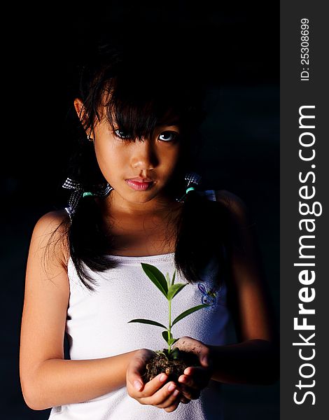 Seedling in the hand of a girl at night. Seedling in the hand of a girl at night