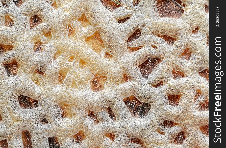 Extreme close-up of cantaloupe skin texture