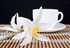 Lily Flower With And A Cup Of Tea Royalty Free Stock Images Lily Flower With And A Cup Of Tea Royalty Free Stock Images