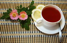 Rose Hip Tea Royalty Free Stock Image Rose Hip Tea Royalty Free Stock Image