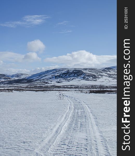 Snowmobile tracks leading to mountains