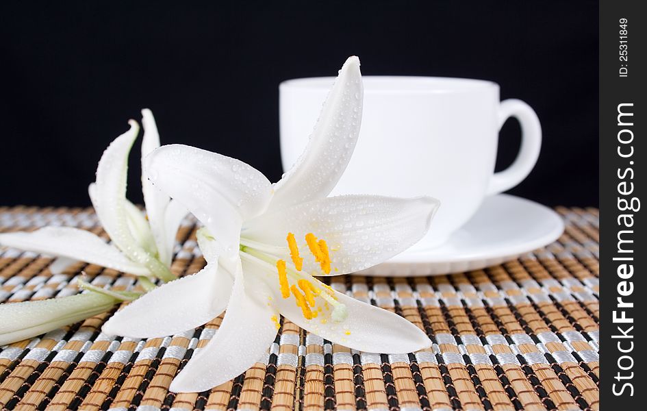 White lily flower with dew drops and a cup of tea. White lily flower with dew drops and a cup of tea