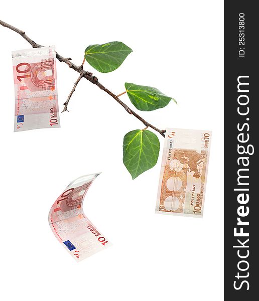 Euro banknote falling off a money tree