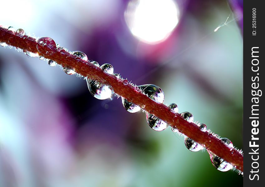 Close up image of water drops