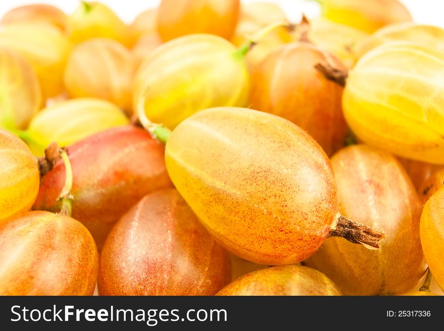 Gooseberry heap full frame closeup