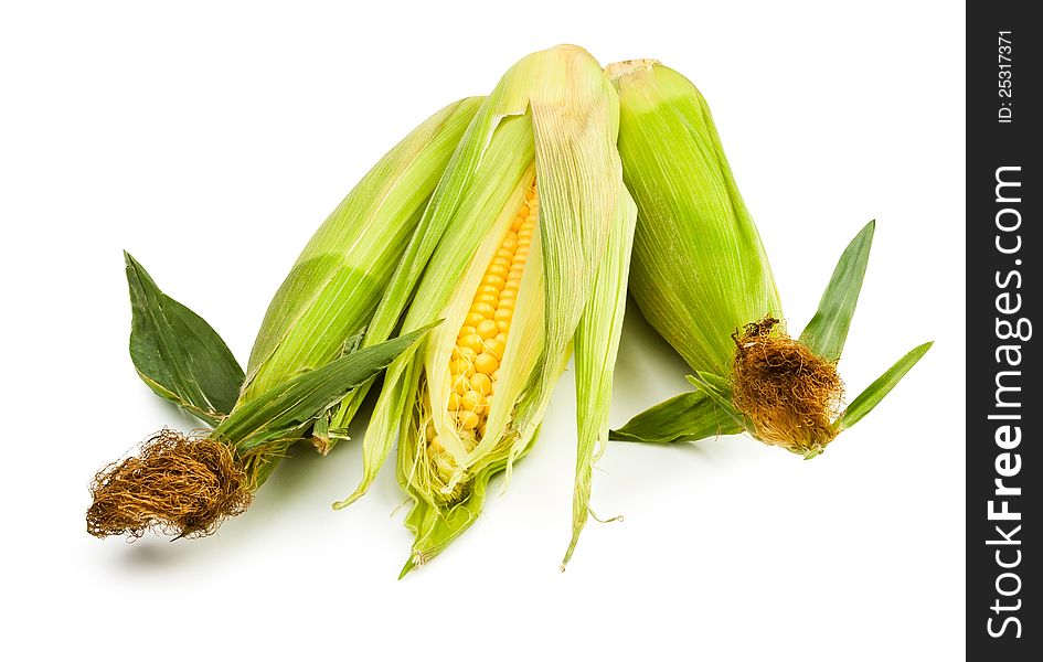 Corn group on white background