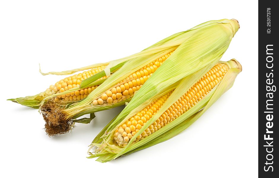 Corn group on white background