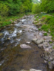 The River Lyn At Watersmeet Near Lynmouth Devon Royalty Free Stock Photos The River Lyn At Watersmeet Near Lynmouth Devon Royalty Free Stock Photos