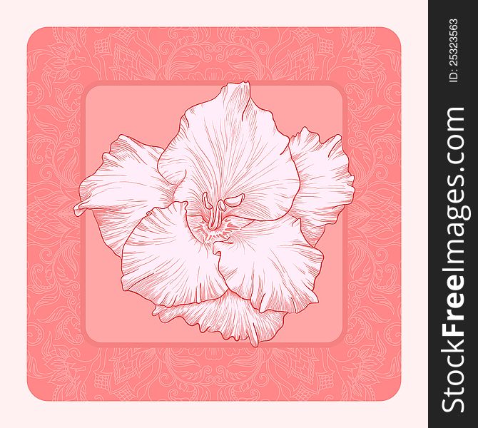Vector illustration with ornament for greeting card with gladiolus. Vector illustration with ornament for greeting card with gladiolus.