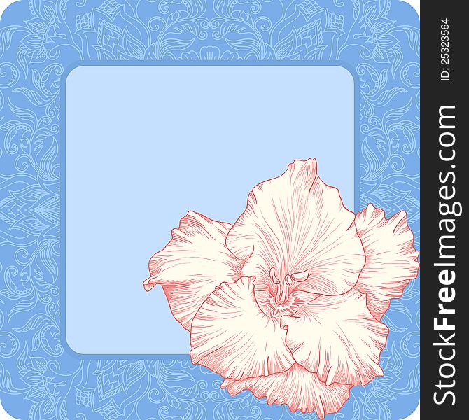 Vector illustration with ornament for greeting card with gladiolus. Vector illustration with ornament for greeting card with gladiolus.