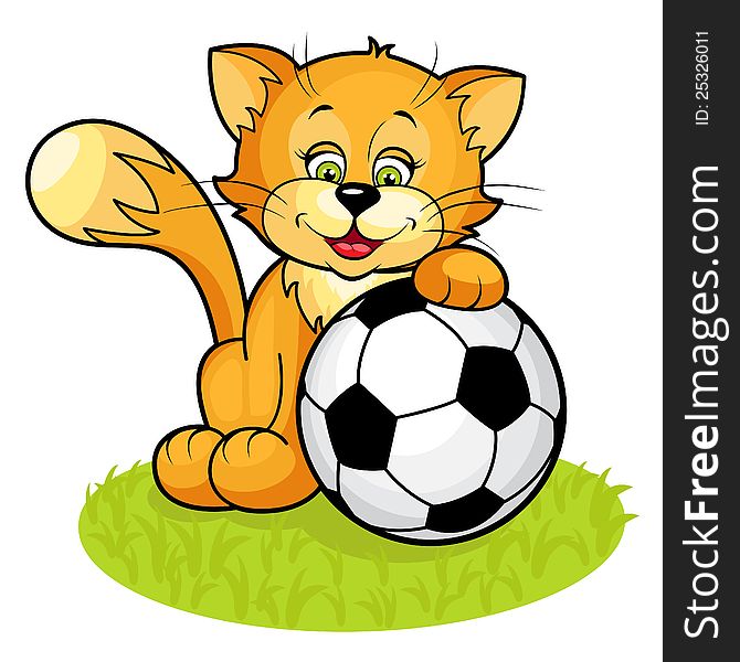 Cat With Soccer Ball