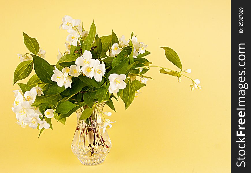 The jasmin bouquet is beautifully issued in a vase