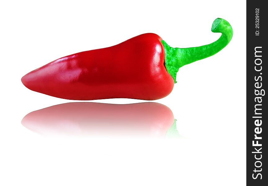 Full and ripe organic red chilli or chili pepper isolated on white with clipping path and reflection