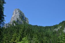 Peak Above Forest Stock Images Peak Above Forest Stock Images