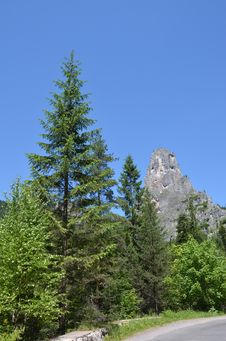 Mountain Peak And Pine Royalty Free Stock Images Mountain Peak And Pine Royalty Free Stock Images
