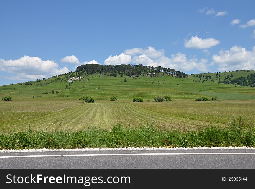 Hill landscape with private property corn. Hill landscape with private property corn