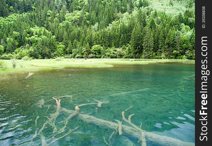 Green Lake at Jiuzhaigou, China