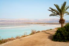 View Of Dead Sea Israel Coastline Stock Image
