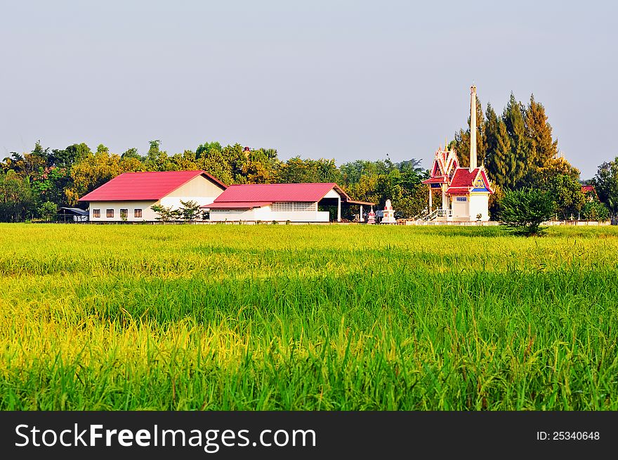 A temple in the rice field  at countryside,thailand. A temple in the rice field  at countryside,thailand