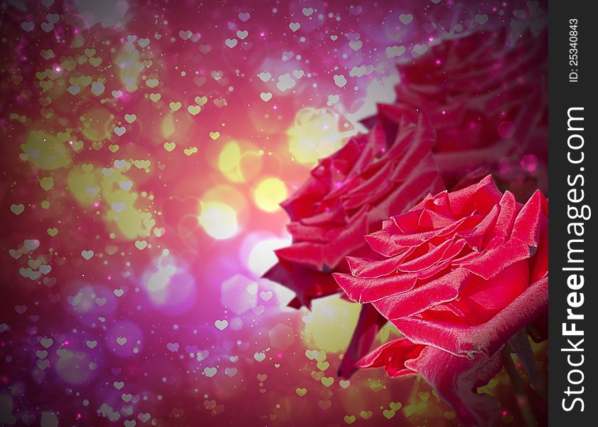 Beautiful roses on dark abstract background. Valentine or Wedding Card. Beautiful roses on dark abstract background. Valentine or Wedding Card.