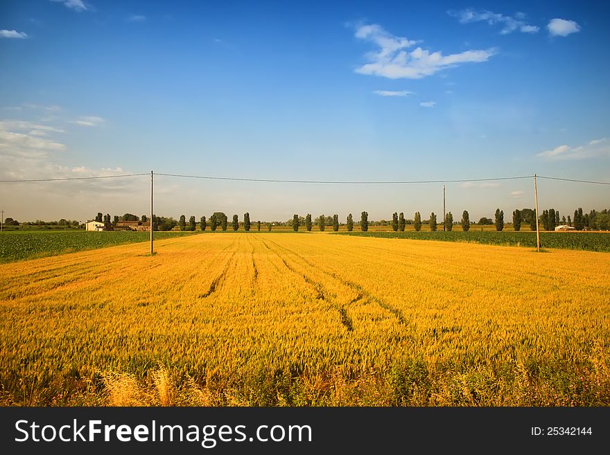 Photo of rural landscape in Tuscany, Italy