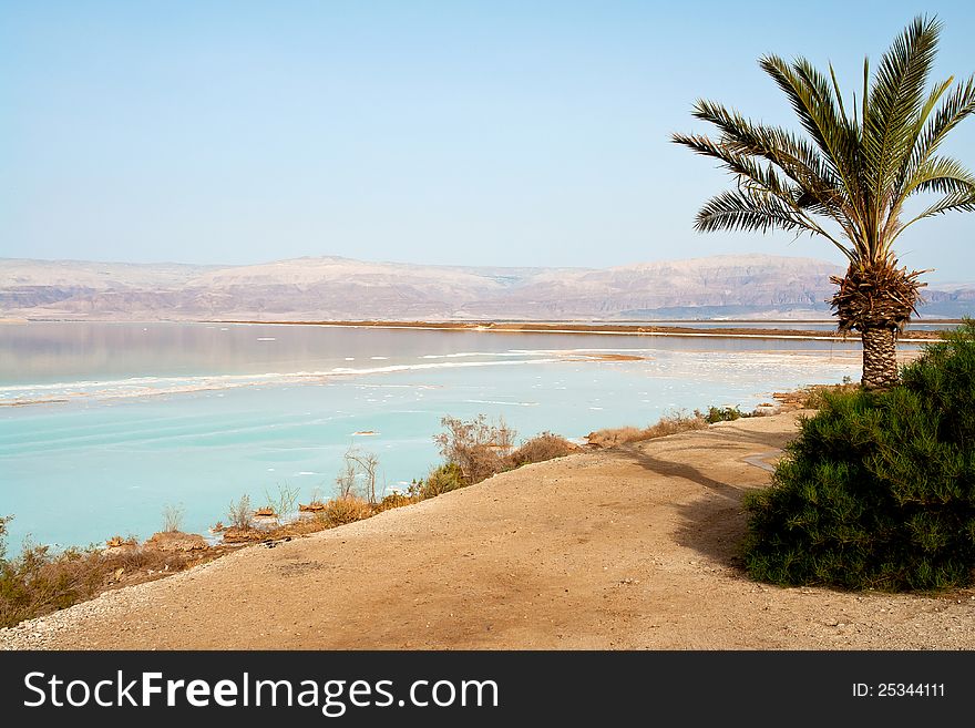 View of the famous health psoriasis treatment resort Dead Sea Israel coastline. View of the famous health psoriasis treatment resort Dead Sea Israel coastline