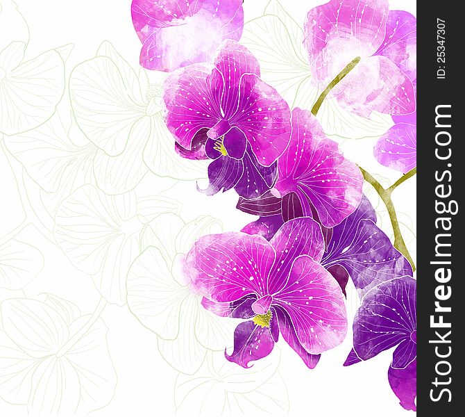 Backdrop of tropical flowers. Orchids. Backdrop of tropical flowers. Orchids