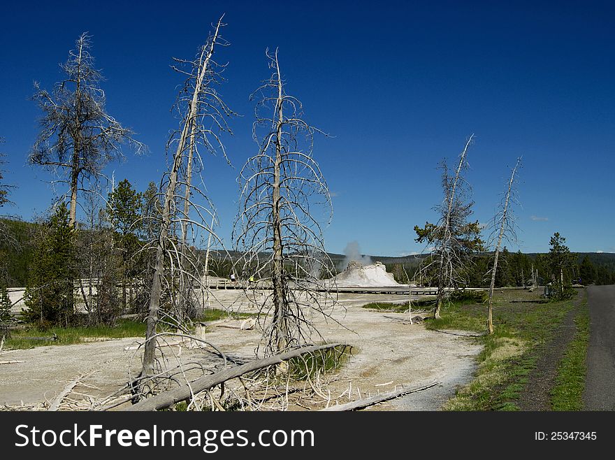 Yellowstone National Park Landscape, Wyoming. USA.