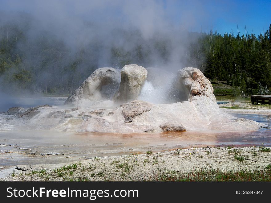 Geyser erupting in Yellowstone National Park